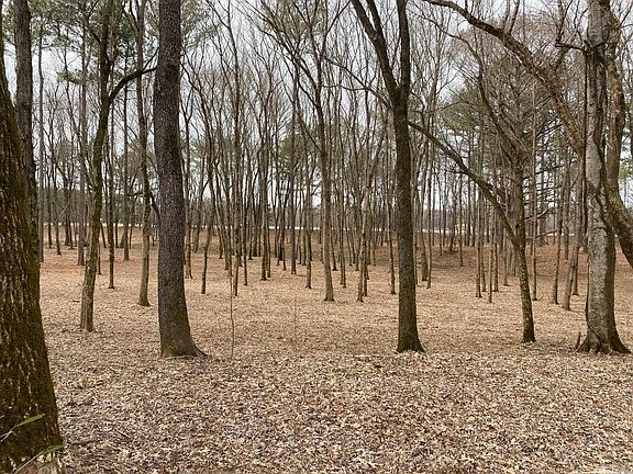3rd image of 7 River Creek Ests