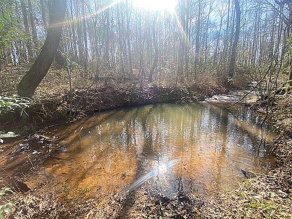 5th image of 0 Chalybeate Rd