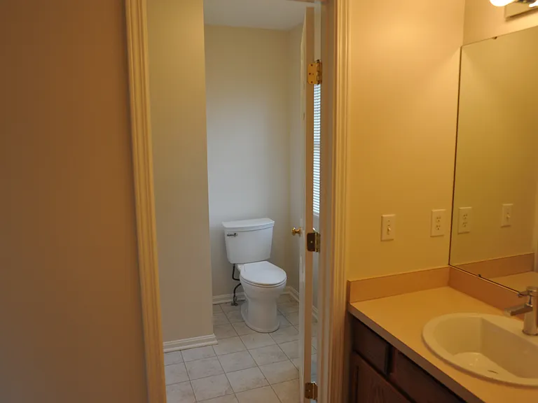 Master bathroom shower entry and vanity