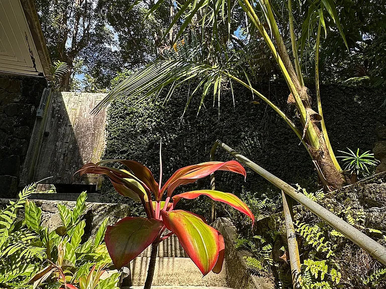 3657 Tantalus Dr — Photo 2