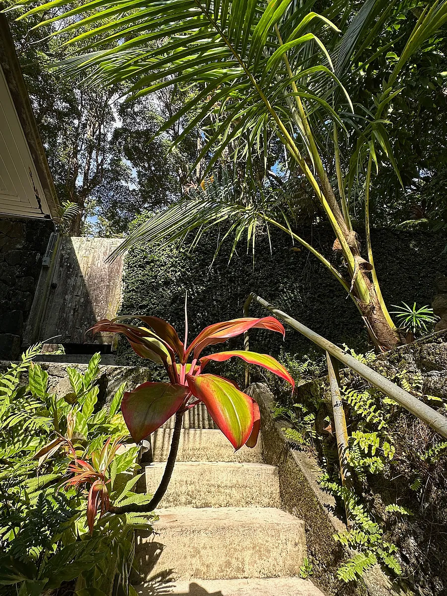 Building Photo - 3657 Tantalus Dr