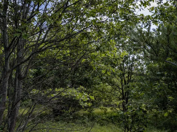 LOT 5 17th Ave, Necedah, WI 54646