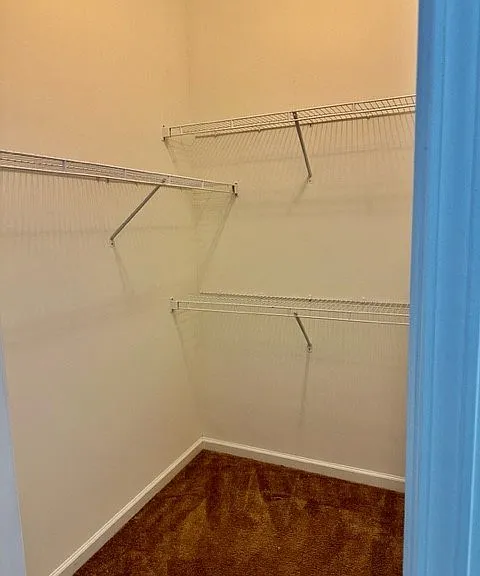 Ashley Pointe — Photo 9
