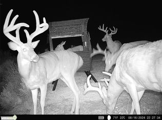 Mile 51 Rd, Hooker, OK 73945