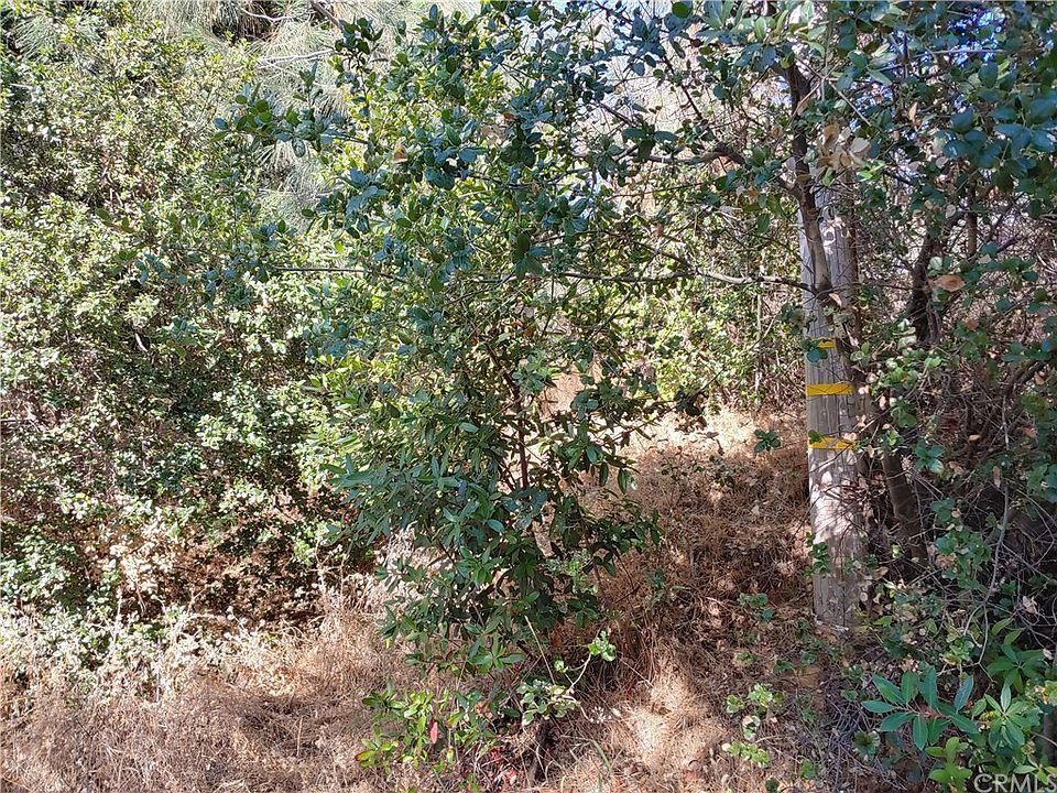 1st image of 9166 Glenhaven Dr