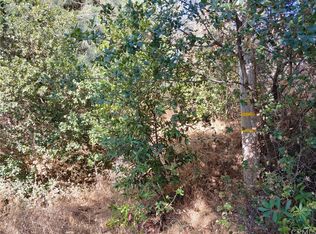 9166 Glenhaven Dr, Glenhaven, CA