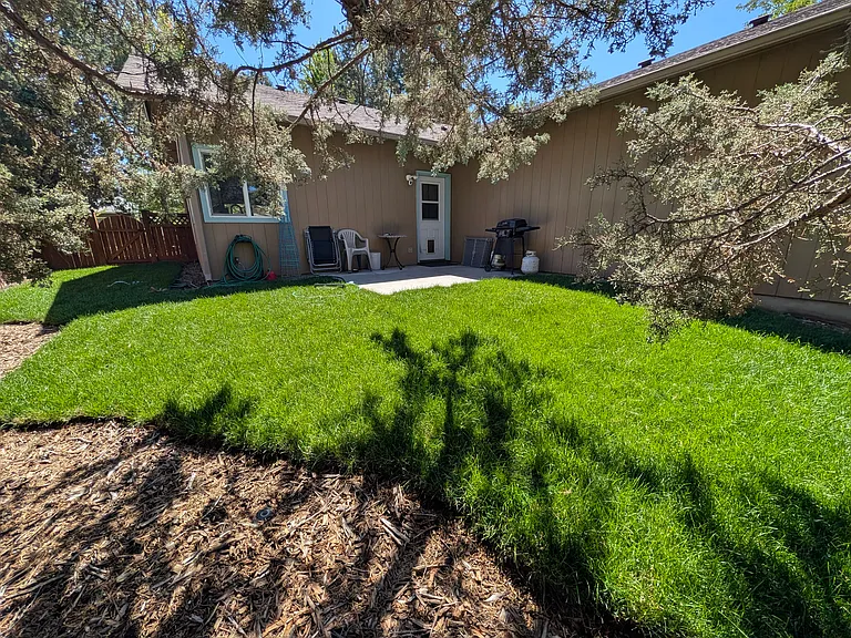 Fully enclosed back yard with large juniper tree, new sod, and xeriscaped border with large established sage.