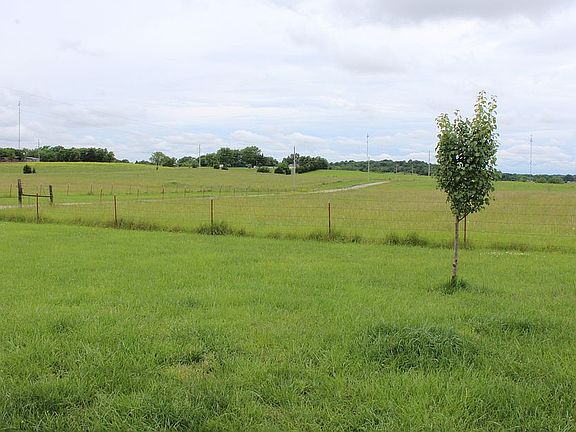 View from Front Porch