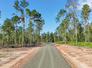 184 Debbie Ln LOT 1, Pineland, TX 75968