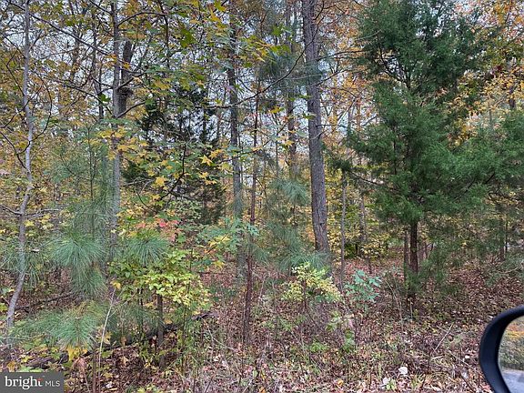 5th image of 5162 Cedarlea Dr