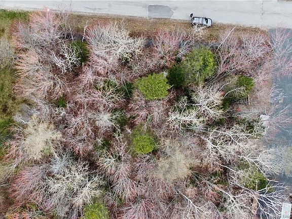 4th image of 24 Geralyn Dr Lot 74