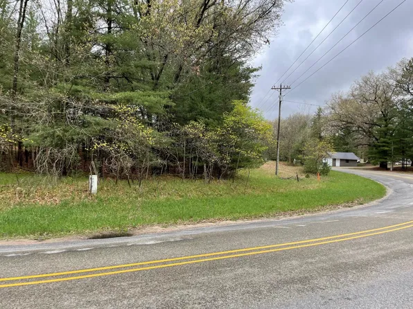 V L Bass Lake Rd, Irons, MI 49644