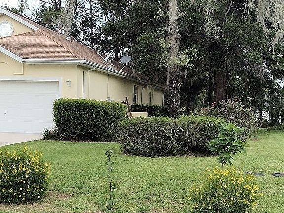 Side Yard, garden, figs, BB