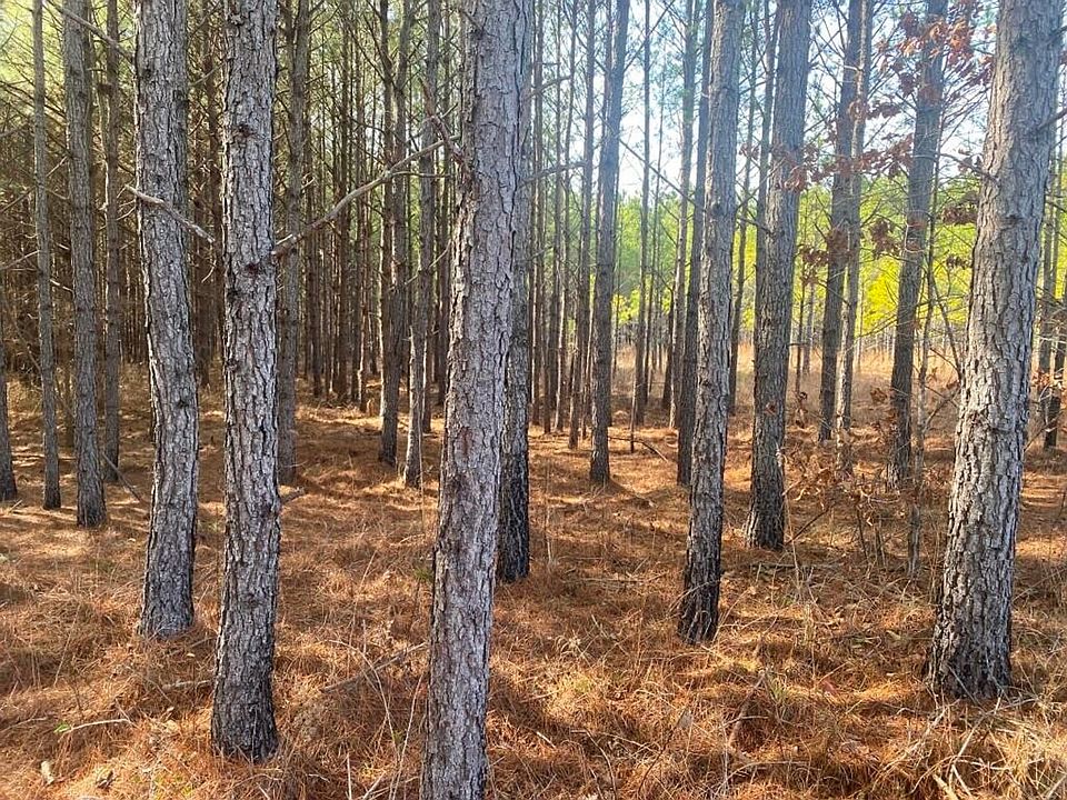1st image of County Road 249