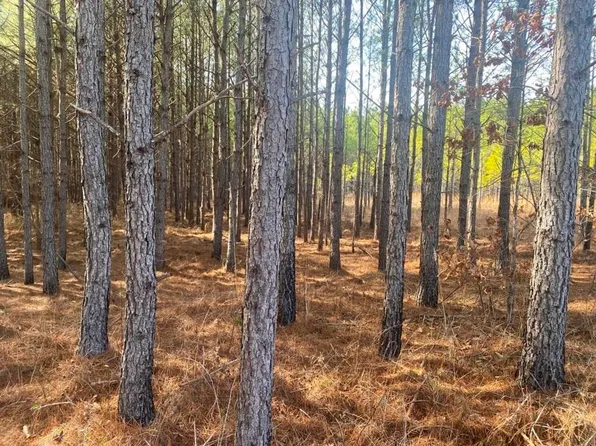 County Road 249, Tiplersville, MS 38674
