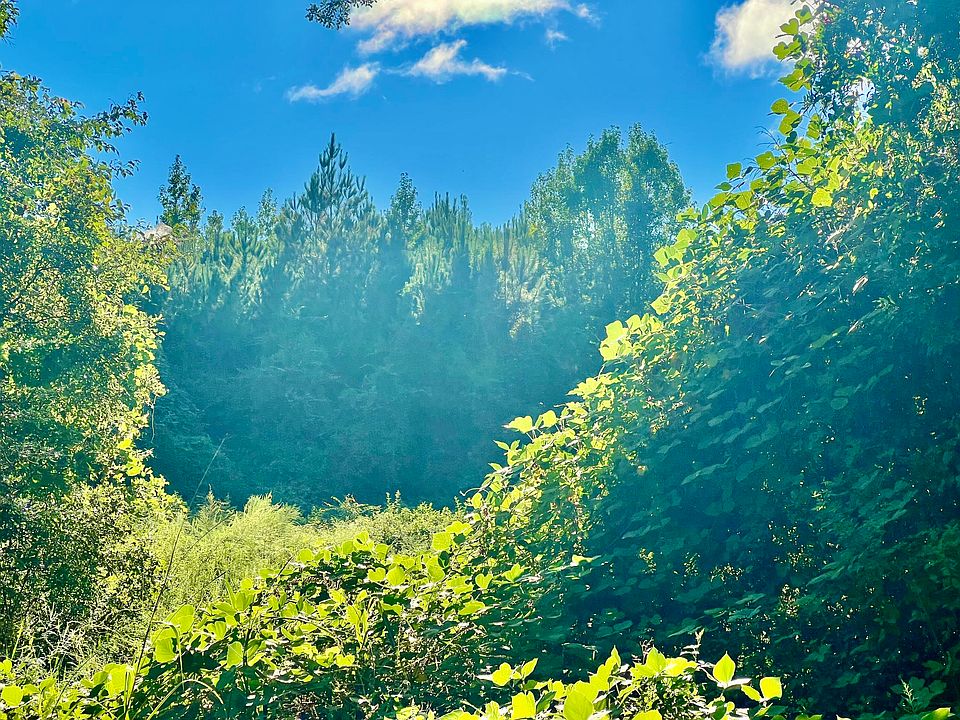 1st image of Saint Highway Acres #81-170