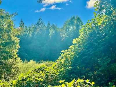 Saint Highway Acres #81-170, Ponce De Leon, FL, 32455