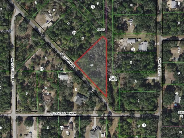 8713 N Cacalia Dr, Crystal River, FL 34428