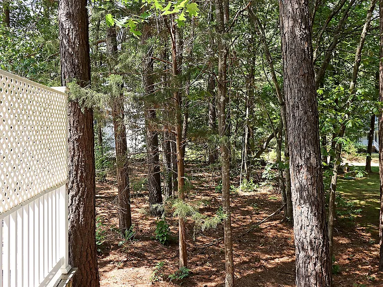 100 Fir Tree Ln — Photo 21