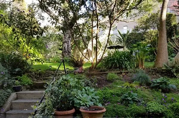 2440 Van Ness Ave — Photo 2