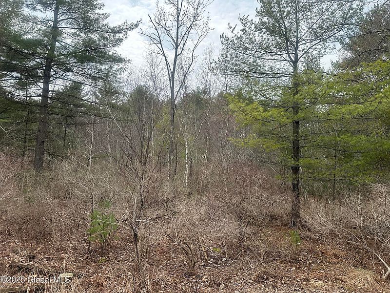 4th image of L46.112 Sandhill Road