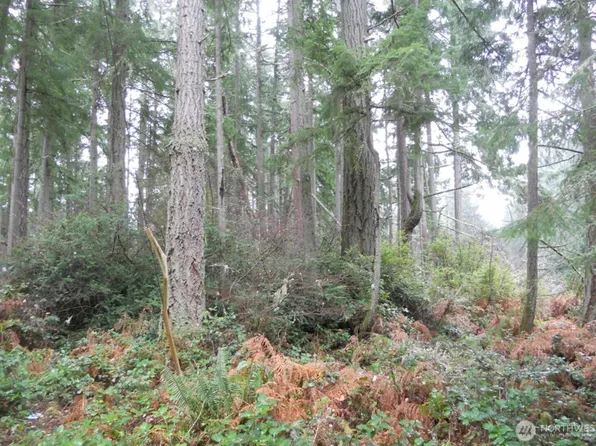 10315 107th Avenue Ct, Anderson Island, WA 98303