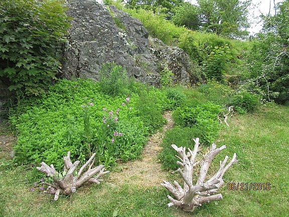 the cliff in backyard