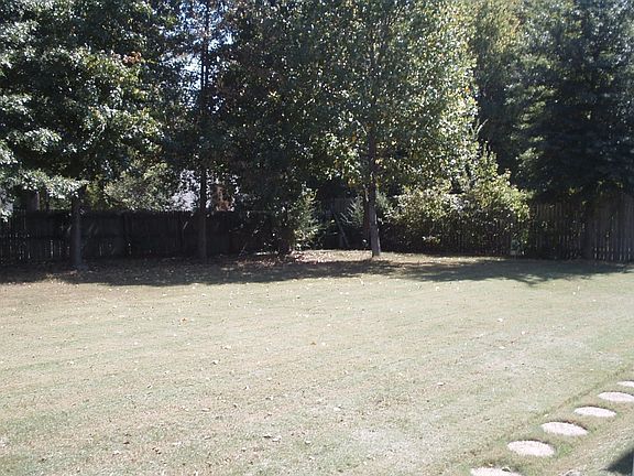 backyard/trees