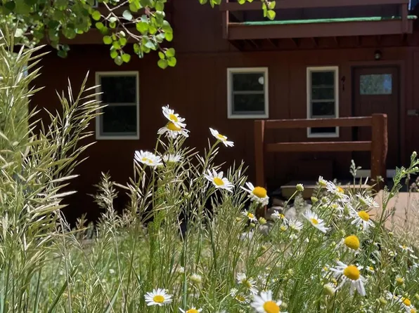 41 Poplar Circle, Silverthorne, CO 80498