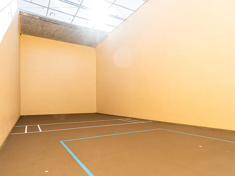 Racquet ball anyone?