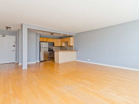 5th image of 1360 N Sandburg Ter APT 703
