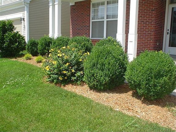 3rd image of 4540 Walnut Creek Dr