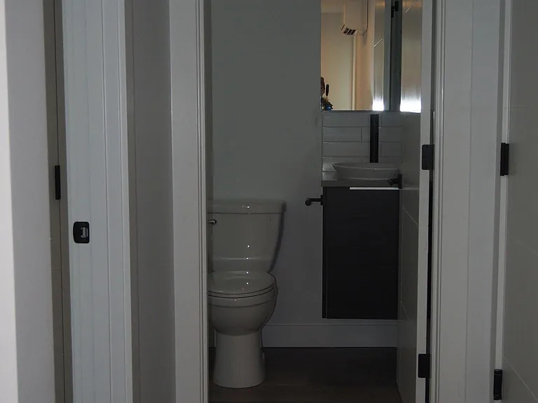 Lower Level Bathroom