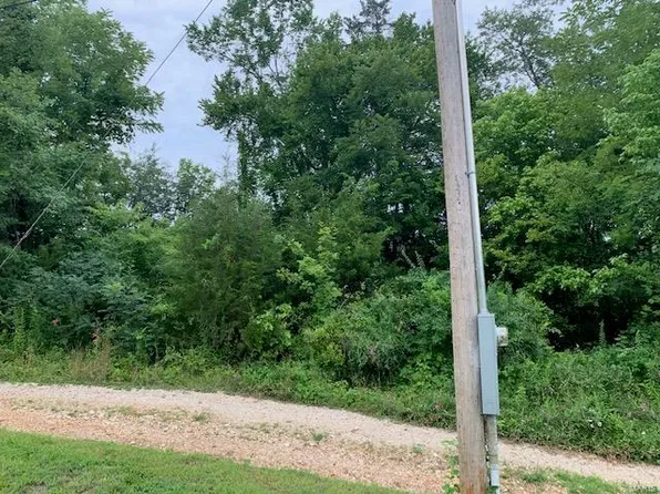 220 S Spring St, Steelville, MO 65565