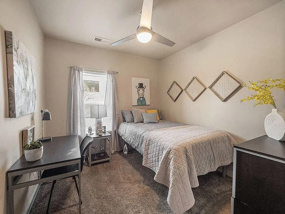 Ceiling Fans