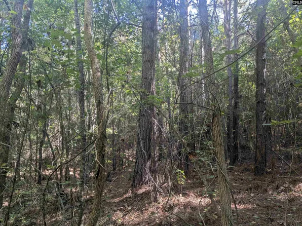 0 Timberlane Dr, Winnsboro, SC 29180