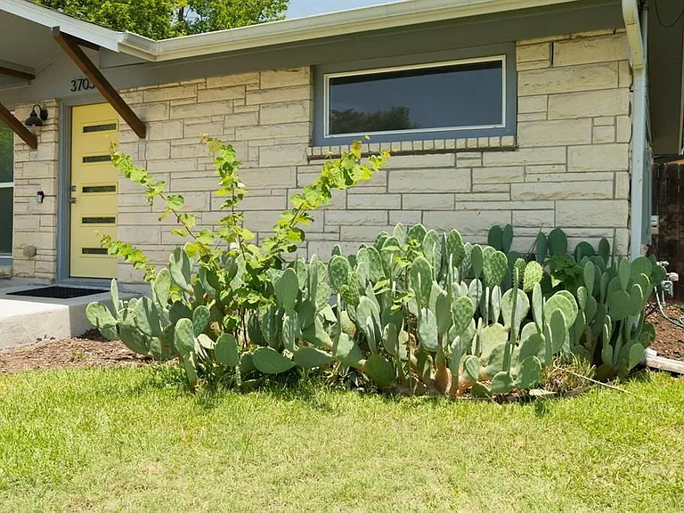3703 Tower View Ct — Photo 3