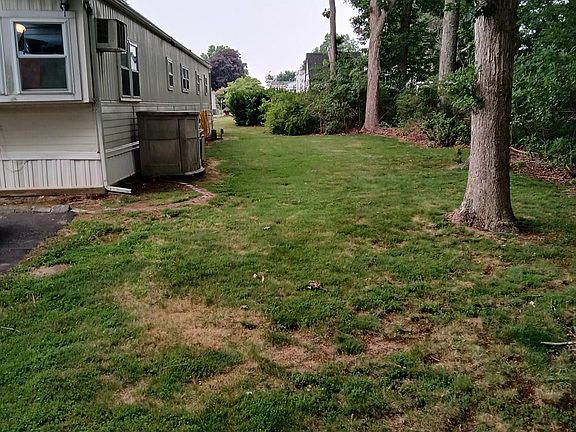 3rd image of 703 FRESH POND Avenue #48