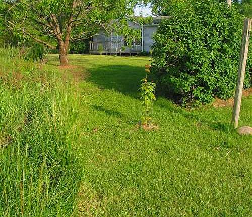 front yard from drive