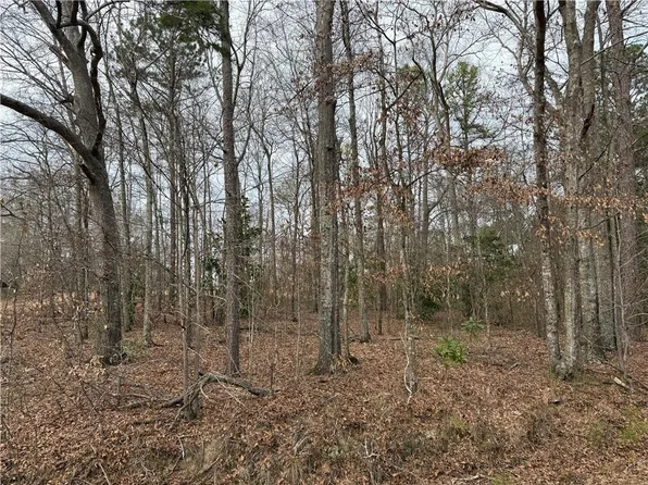 7 Cowell Ct, Salem, AL 36874
