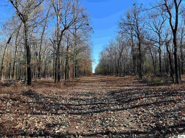 0 Cecil Creek Rd, Marion, LA 71260