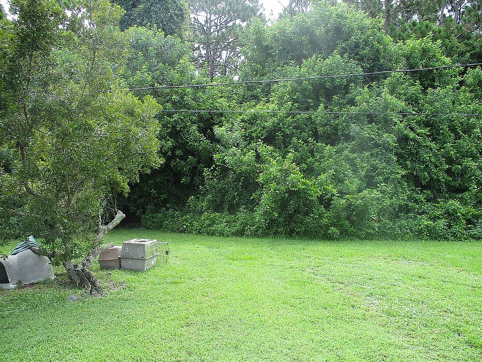 Back yard view