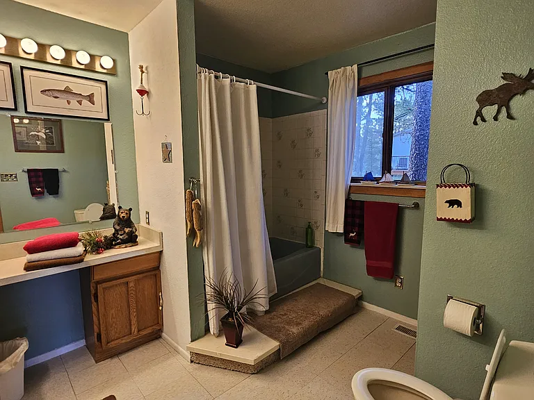 Shower and tub. In loft.