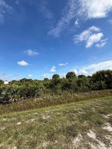 21535 NW 278TH Street, Okeechobee, FL, 34972