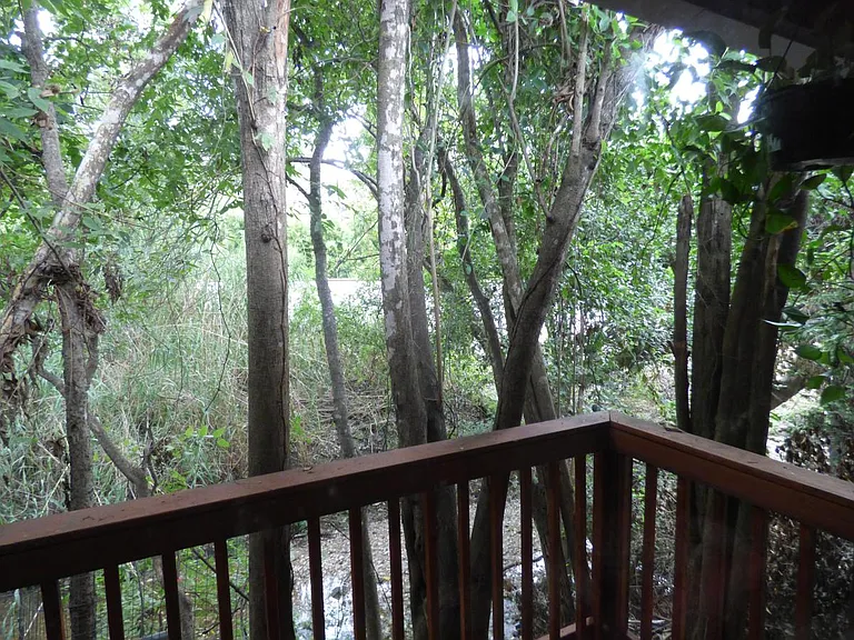 DECK OVERLOOKING CREEK
