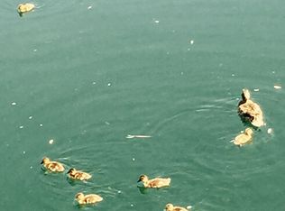 720 N Third Ave APT 10, Sandpoint, ID 83864