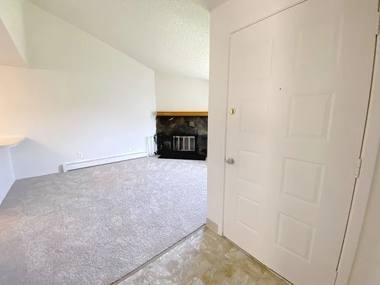 4446 Reka Dr — Photo 14