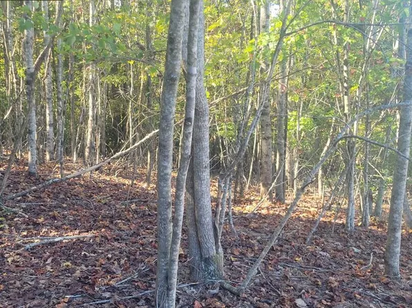 LOT 5 Blair Creek Rdg, Hayesville, NC 28904