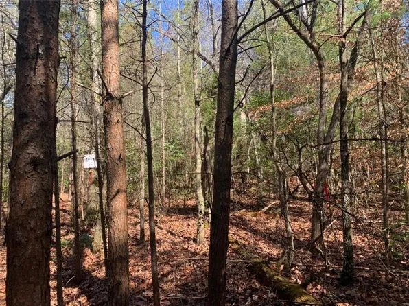 0 E New Hope Rd Tract C, Ellijay, GA 30536