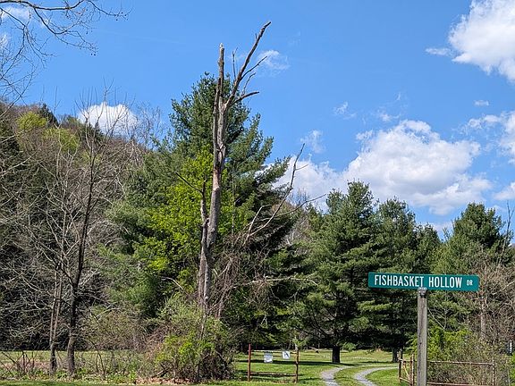 3rd image of 41 Fishbasket Hollow Dr